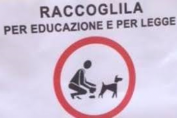 Pulisci dove il tuo cane sporca